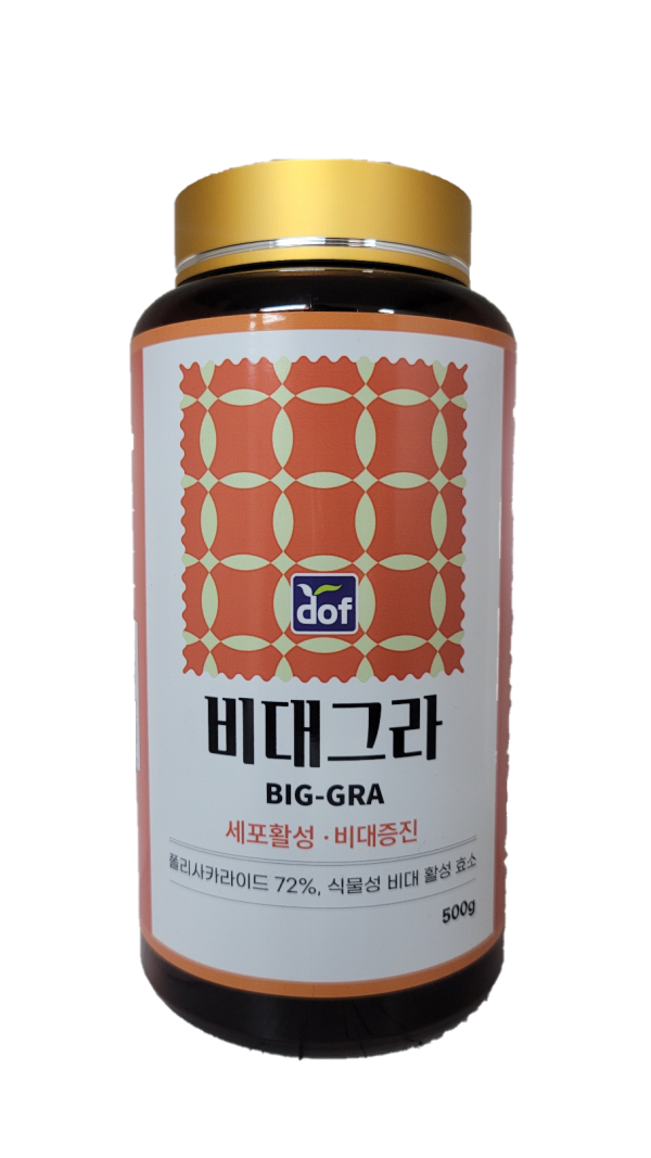비대그라